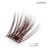 Harmony - Full Lash Line Look